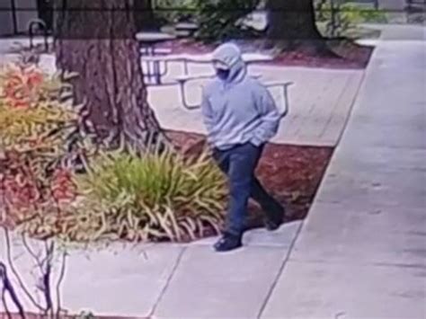 Petaluma police search for drive-by shooting suspect